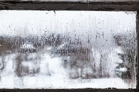 Defogging Double Pane Windows in Lealman, FL