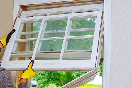 Window Replacement in Lealman, FL
